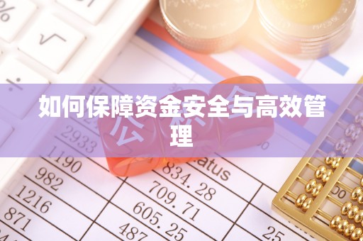 海口如何保障资金安全与高效管理