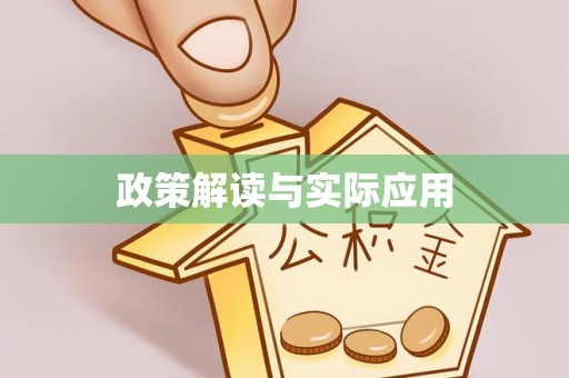 海口政策解读与实际应用