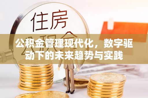 海口公积金管理现代化，数字驱动下的未来趋势与实践