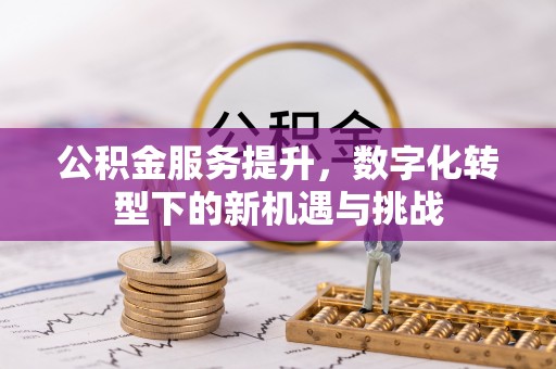 海口公积金服务提升，数字化转型下的新机遇与挑战