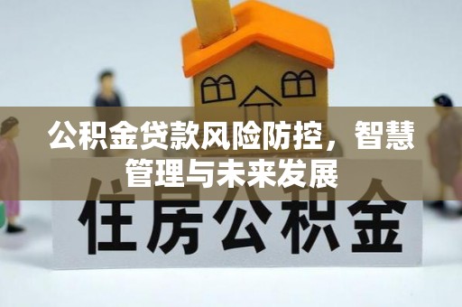 海口公积金贷款风险防控，智慧管理与未来发展