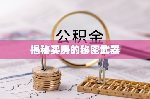 海口揭秘买房的秘密武器