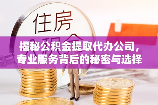 海口揭秘公积金提取代办公司，专业服务背后的秘密与选择指南