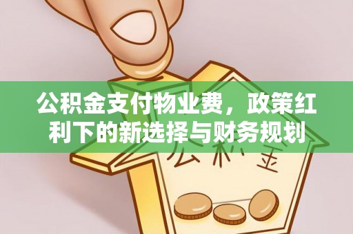 海口公积金支付物业费，政策红利下的新选择与财务规划