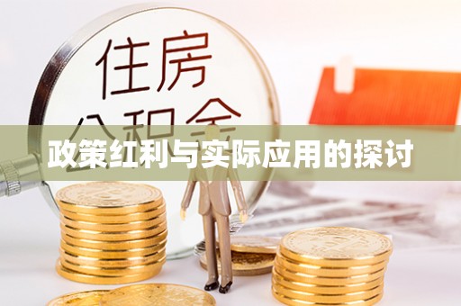 海口政策红利与实际应用的探讨
