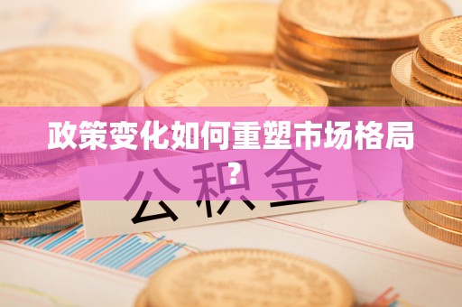海口政策变化如何重塑市场格局？