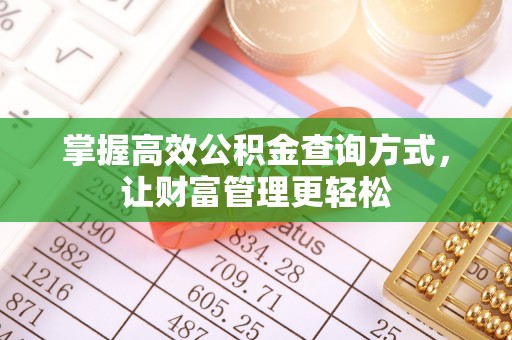 海口掌握高效公积金查询方式，让财富管理更轻松