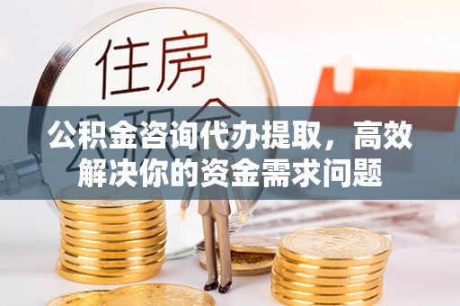 海口公积金咨询代办提取，高效解决你的资金需求问题