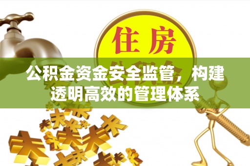 海口公积金资金安全监管，构建透明高效的管理体系