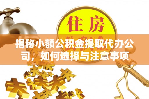 海口揭秘小额公积金提取代办公司，如何选择与注意事项