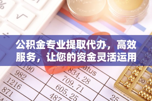 海口公积金专业提取代办，高效服务，让您的资金灵活运用