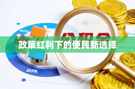海口政策红利下的便民新选择