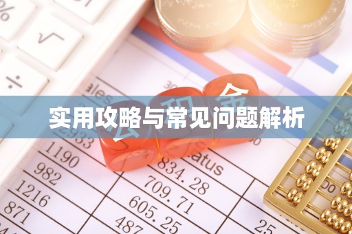 海口实用攻略与常见问题解析