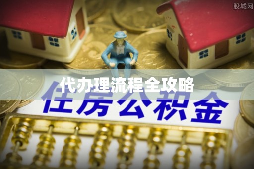 海口代办理流程全攻略