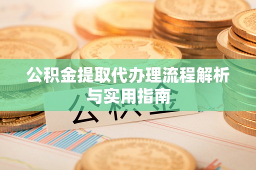 海口公积金提取代办理流程解析与实用指南