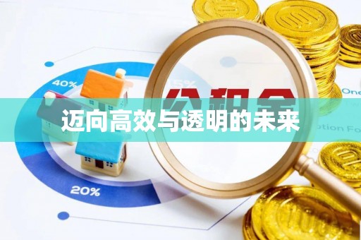 海口迈向高效与透明的未来