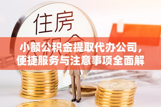 海口小额公积金提取代办公司，便捷服务与注意事项全面解析