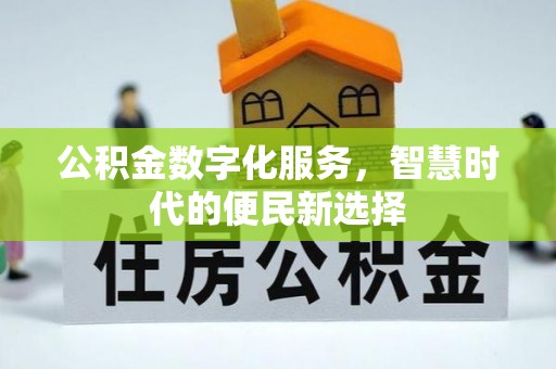 海口公积金数字化服务，智慧时代的便民新选择