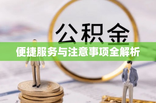 海口便捷服务与注意事项全解析