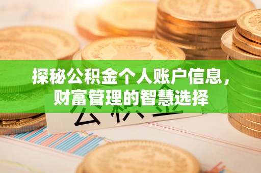 海口探秘公积金个人账户信息，财富管理的智慧选择
