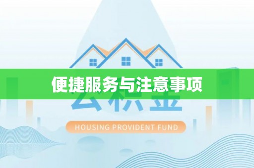 海口便捷服务与注意事项