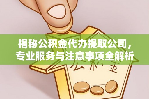 海口揭秘公积金代办提取公司，专业服务与注意事项全解析
