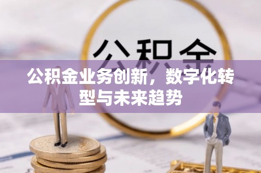 海口公积金业务创新，数字化转型与未来趋势