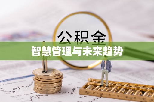 海口智慧管理与未来趋势