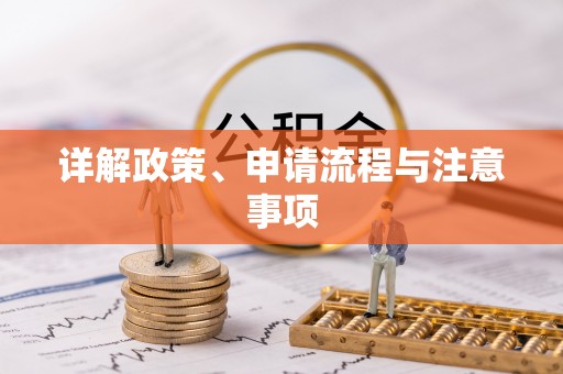 海口详解政策、申请流程与注意事项